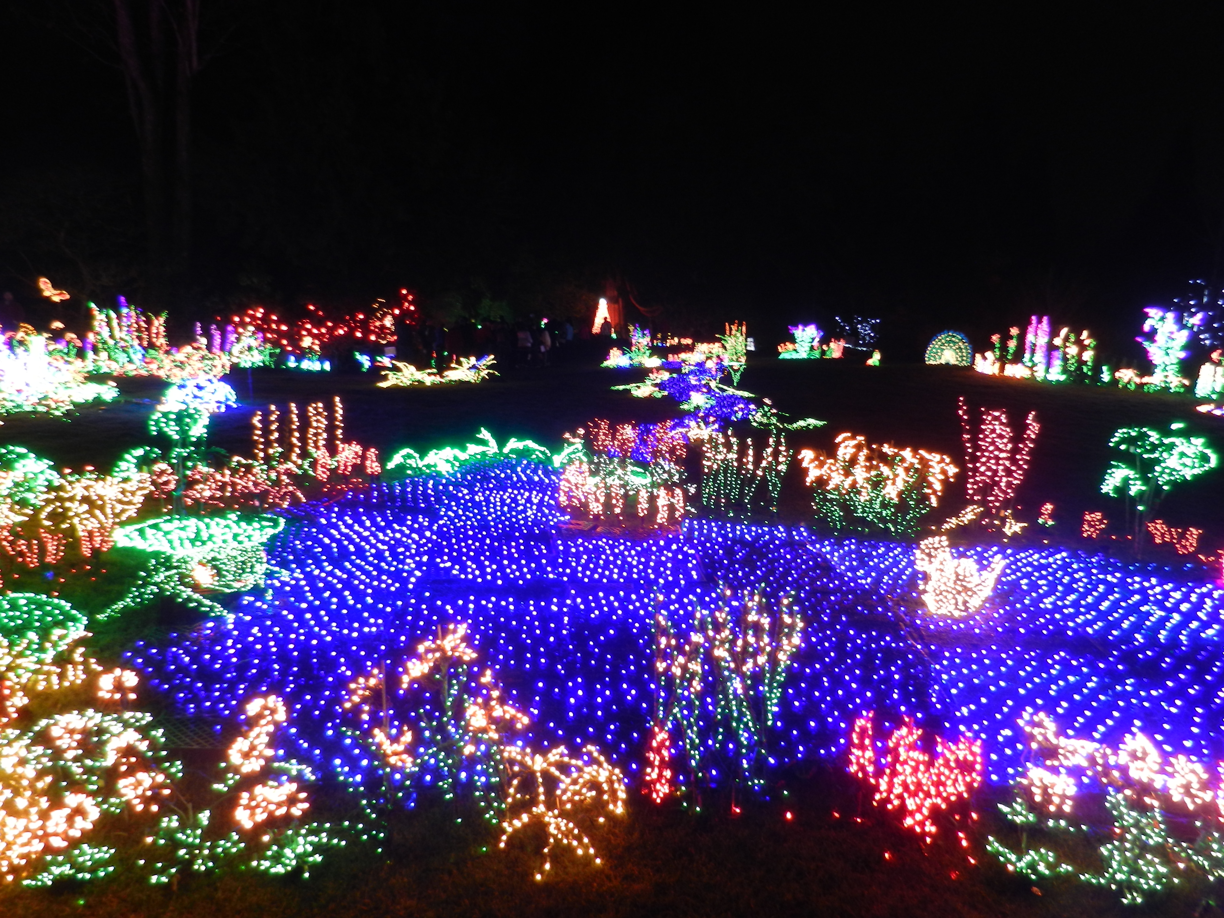Garden D'Lights -Photo by Paige Anderson