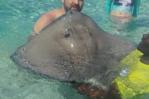 48 Hours in Cayman Islands | Top 5 Recommendations 48 Hours in Cayman Islands | Top 5 Recommendations
