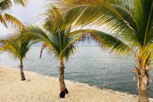 Florida Keys – How to Camp for Cheap or Free Florida Keys – How to Camp for Cheap or Free