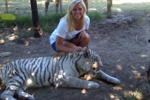 5 Dos and Don’ts of South Africa 5 Dos and Don’ts of South Africa