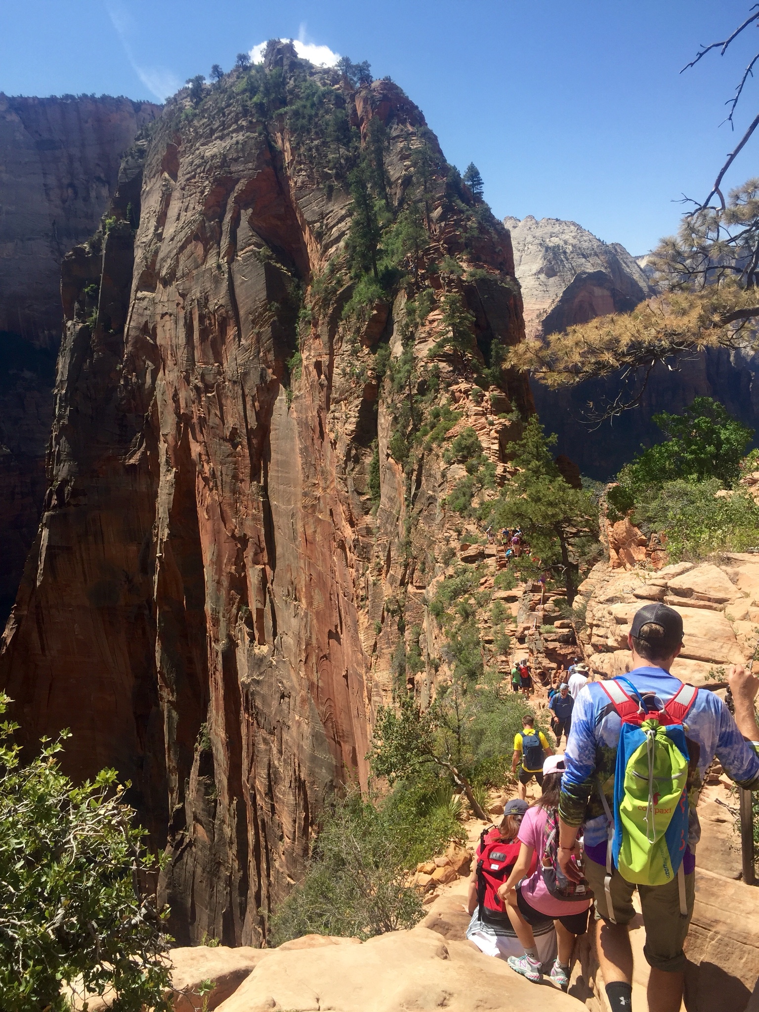 Angel's Landing, Zion National Park. 