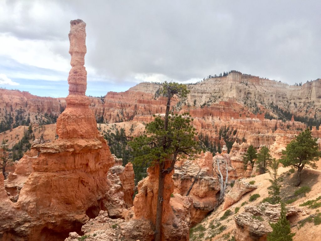 Bryce Canyon National Park TravelSages