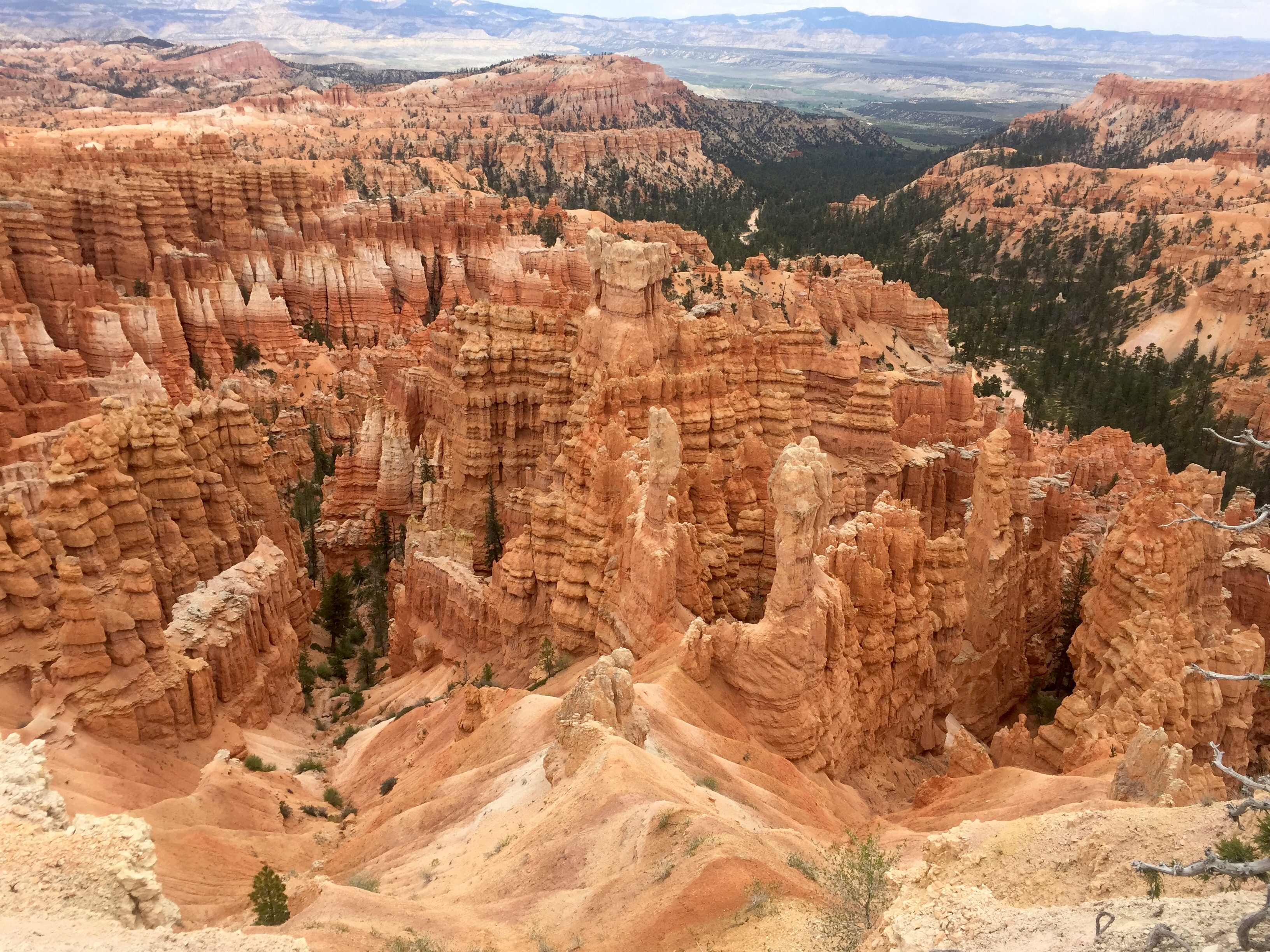 Bryce Canyon National Park TravelSages