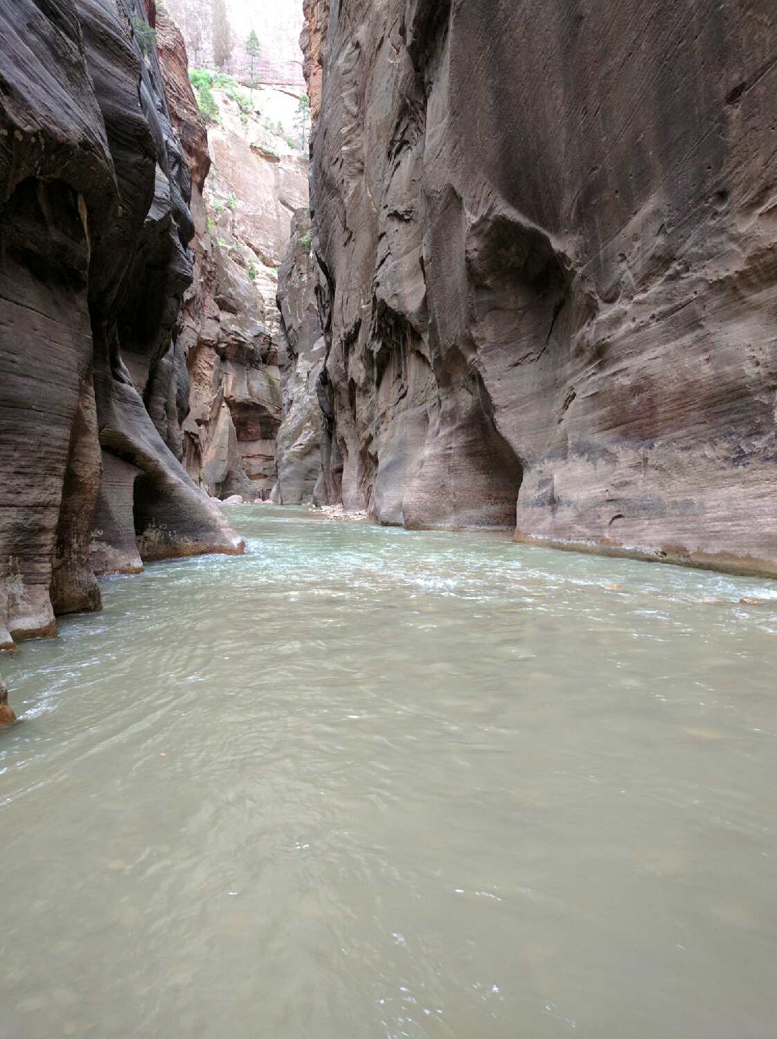 Zion Narrows, Zion National Park. 