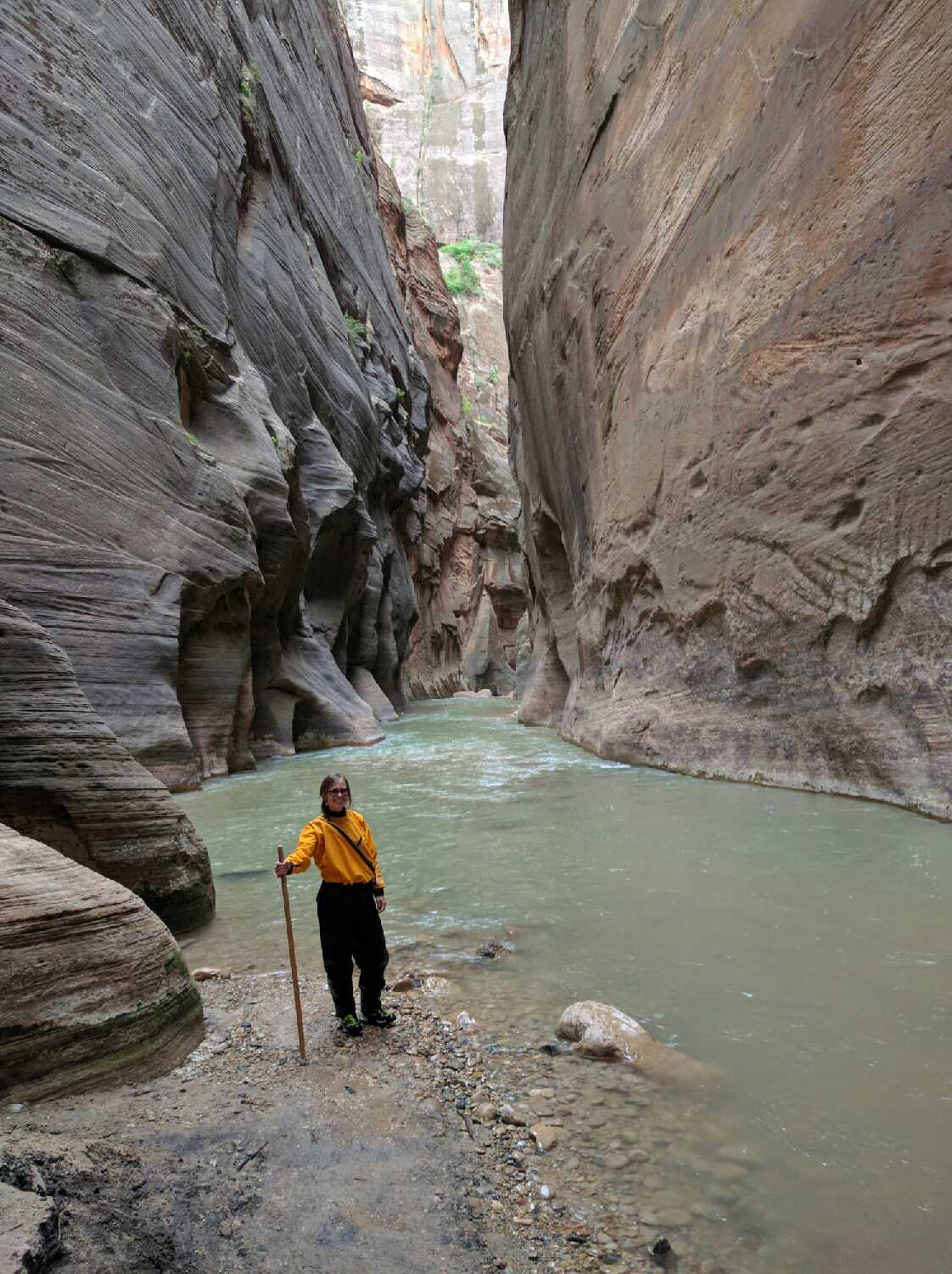 Zion Narrows, Zion National Park. 