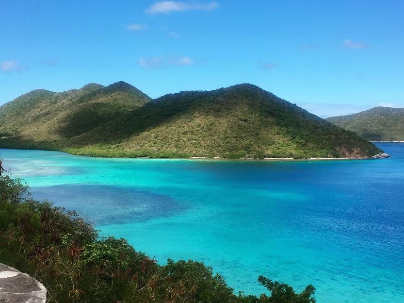 Coral spots at Leinster Bay from Annaberg Sugar Mill ruins. 