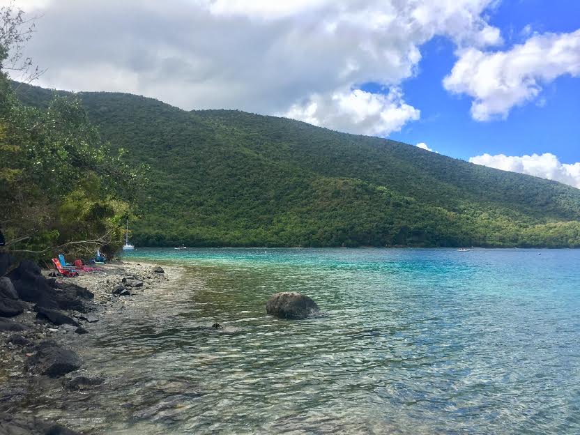 Leinster Bay's rocky beach.