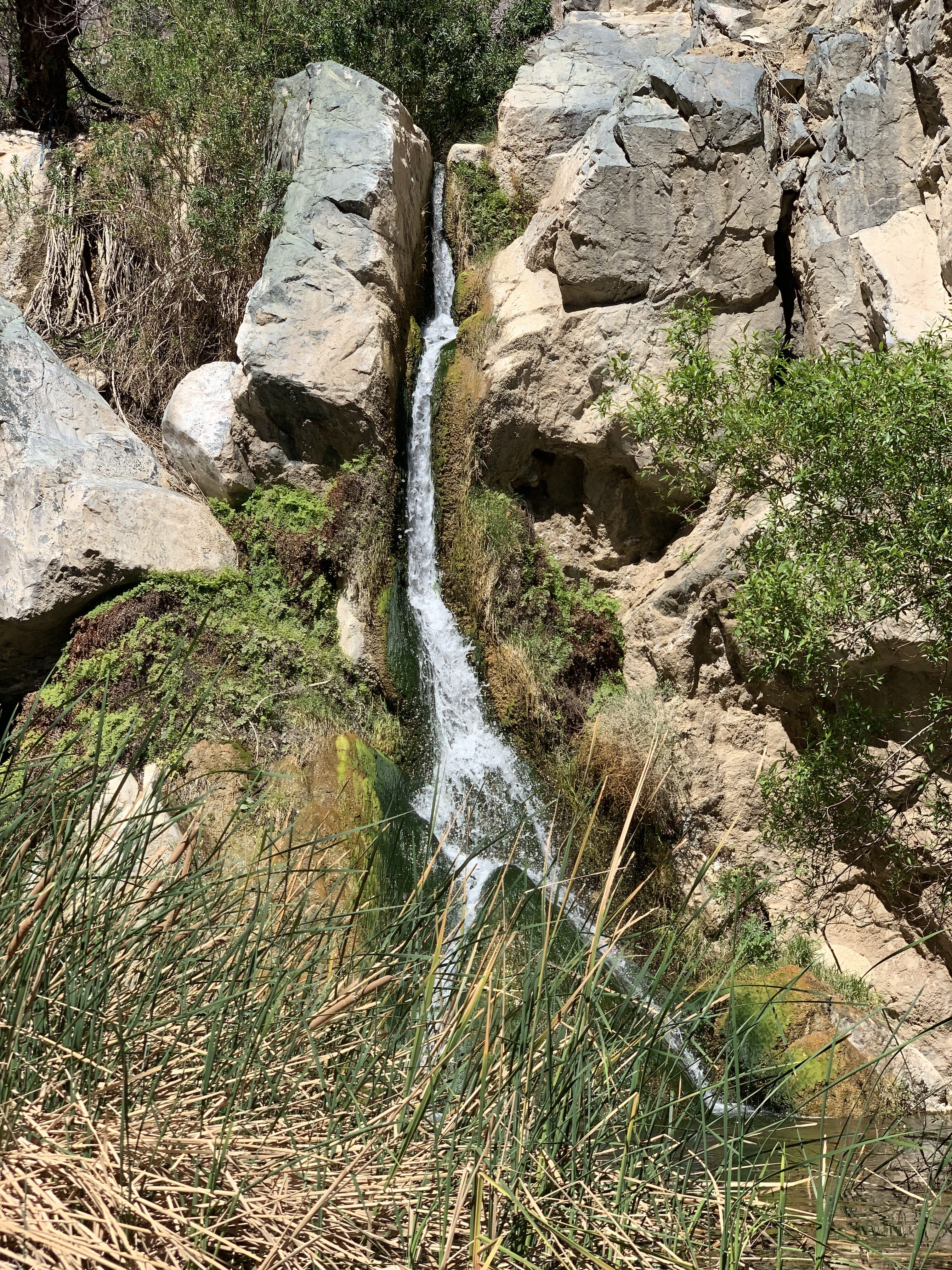 Darwin Falls Death Valley TravelSages