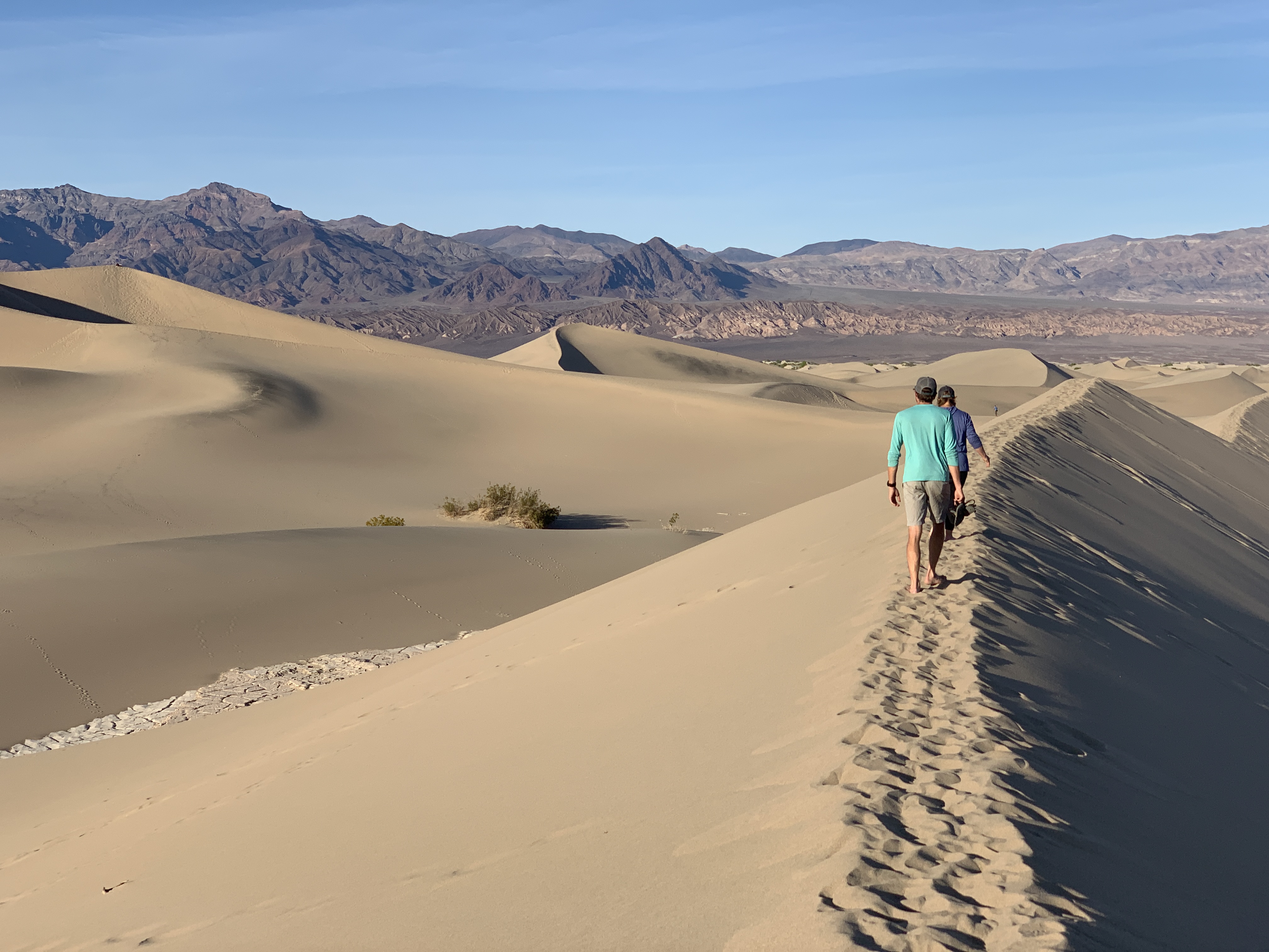 Mesquite Flat Sand Dunes Death Valley TravelSages