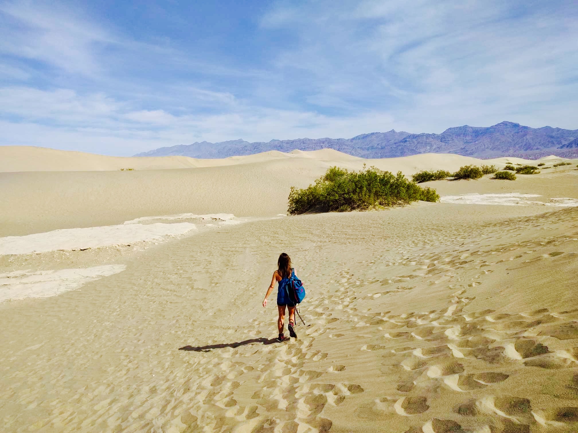 Now it looks like we're in the desert!