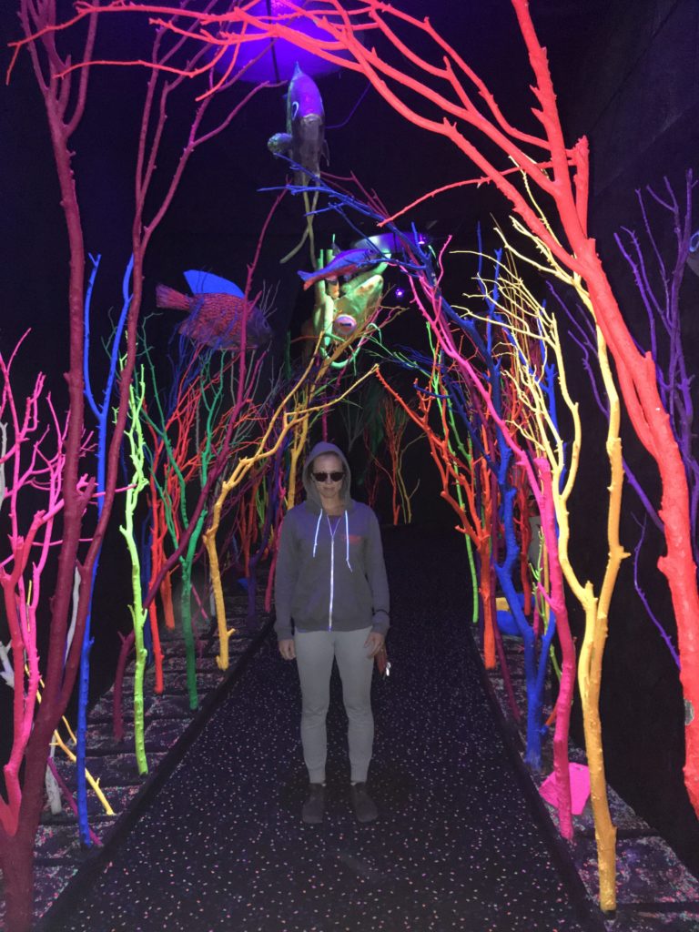 Meow Wolf Santa Fe New Mexico TravelSages