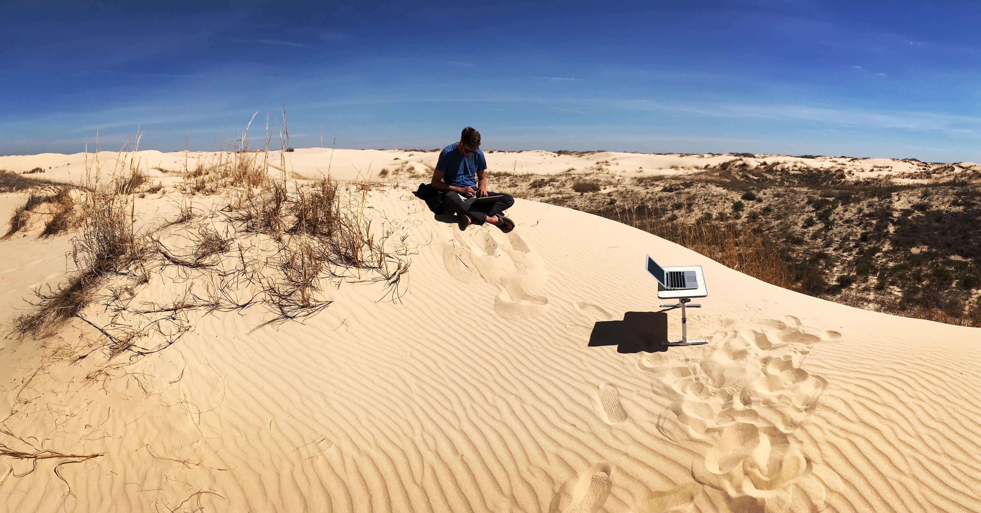 Monahans Sandhills State Park Texas TravelSages