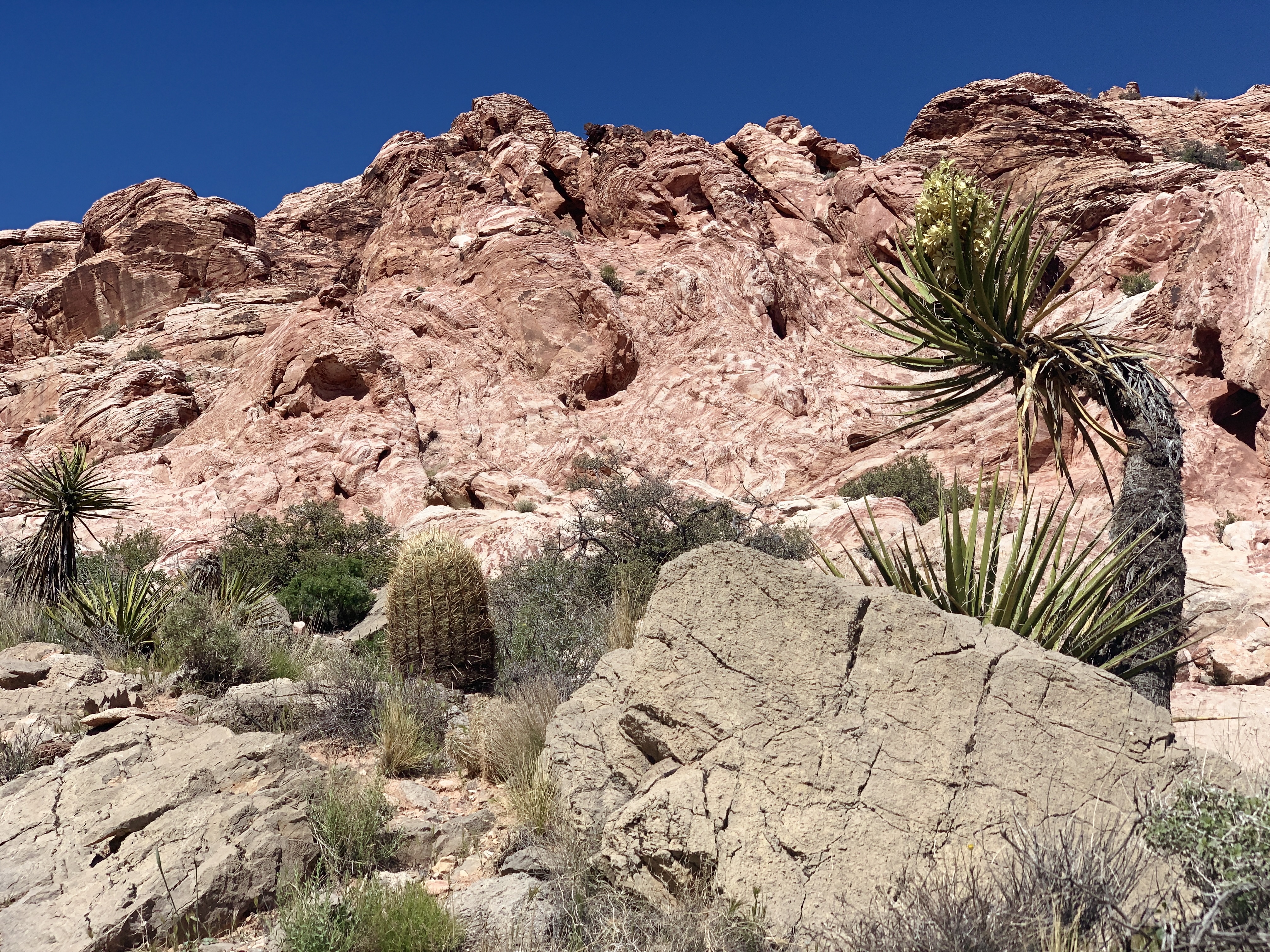 Red Rocks Nevada TravelSages