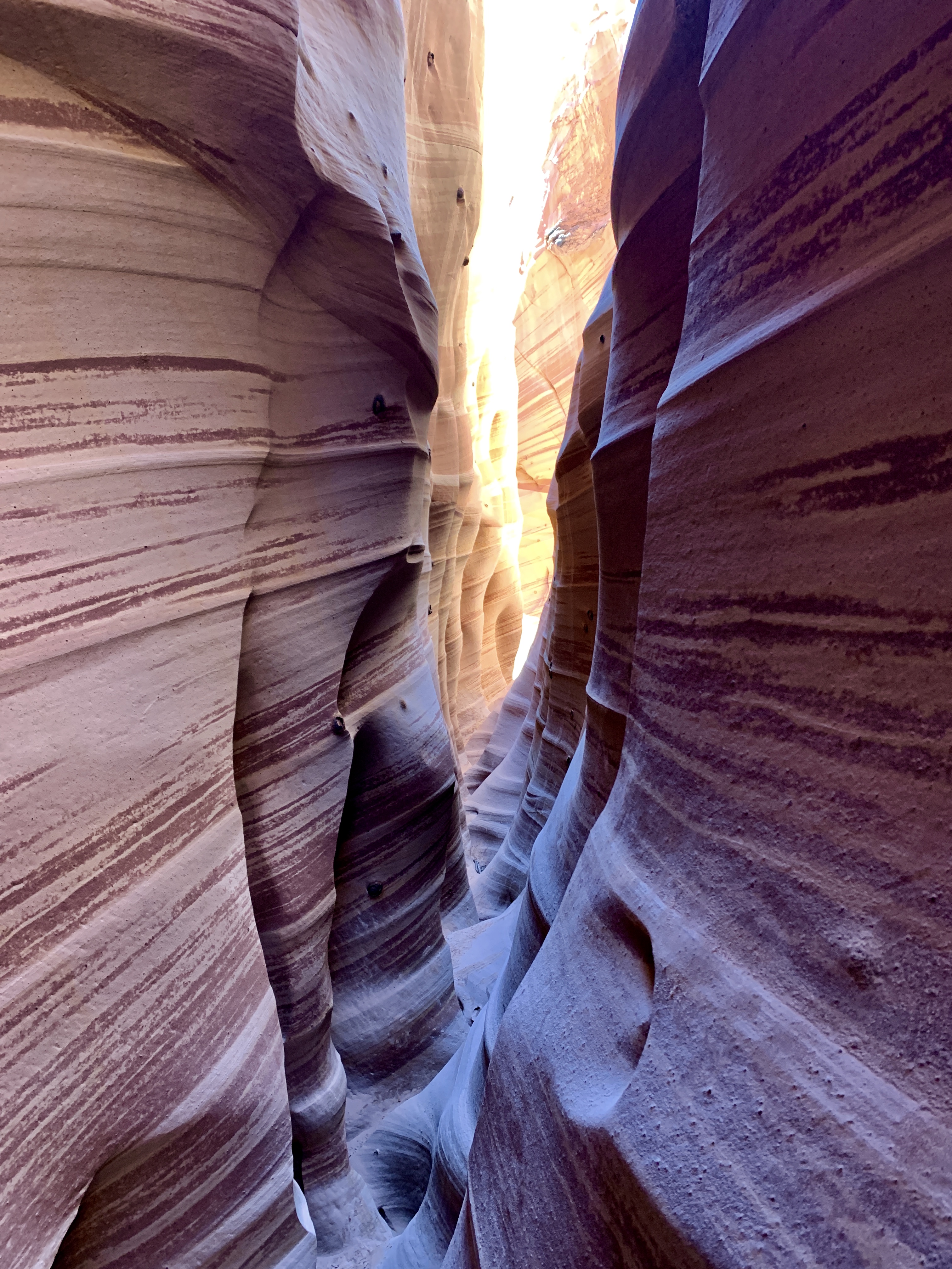 Zebra Slot Canyon Grand Staircase Escalante TravelSages