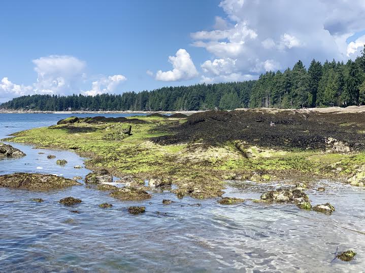 Beach at Robert's Creek Provincial Park Campground TravelSag