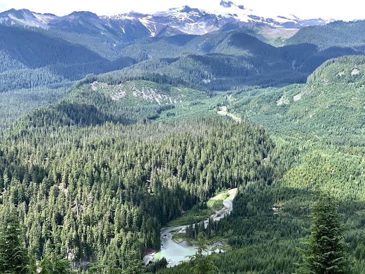 Watersprite Lake Hike Behind Lake Campgroud Squamish BC TravelSages Dog Friendly.jpg