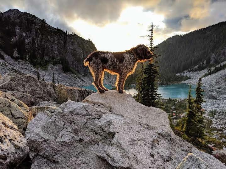 Watersprite Lake Hike Squamish BC TravelSages Dog Friendly Odin