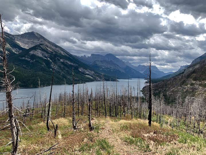 Waterton Lakes National Park Canada Bertha Lake Hike 1