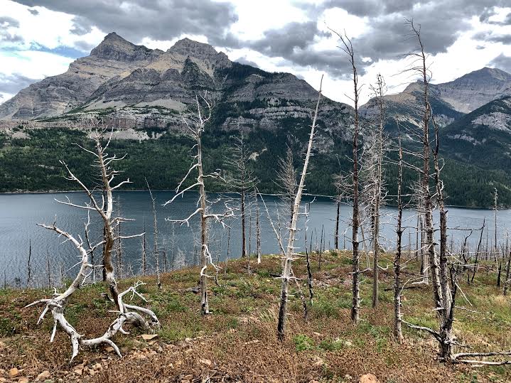 Waterton Lakes National Park Canada Bertha Lake Hike