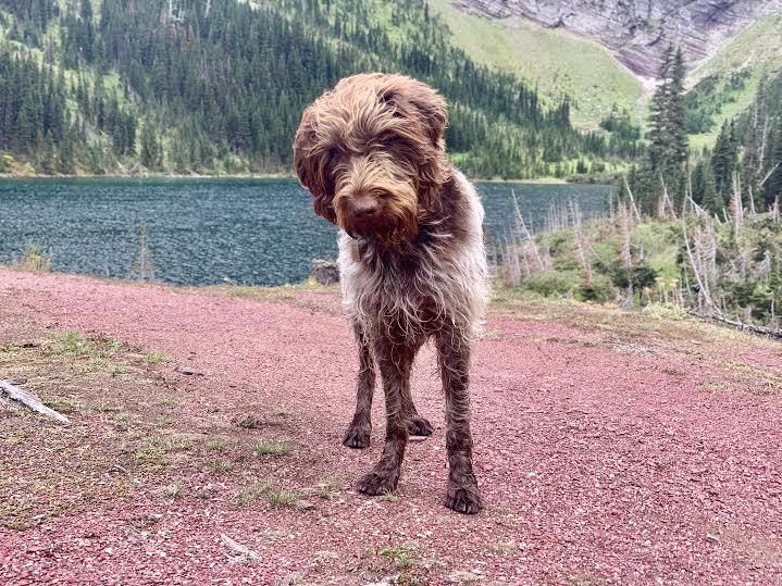 Waterton Lakes National Park Canada Bertha Lake Red Beach Odin